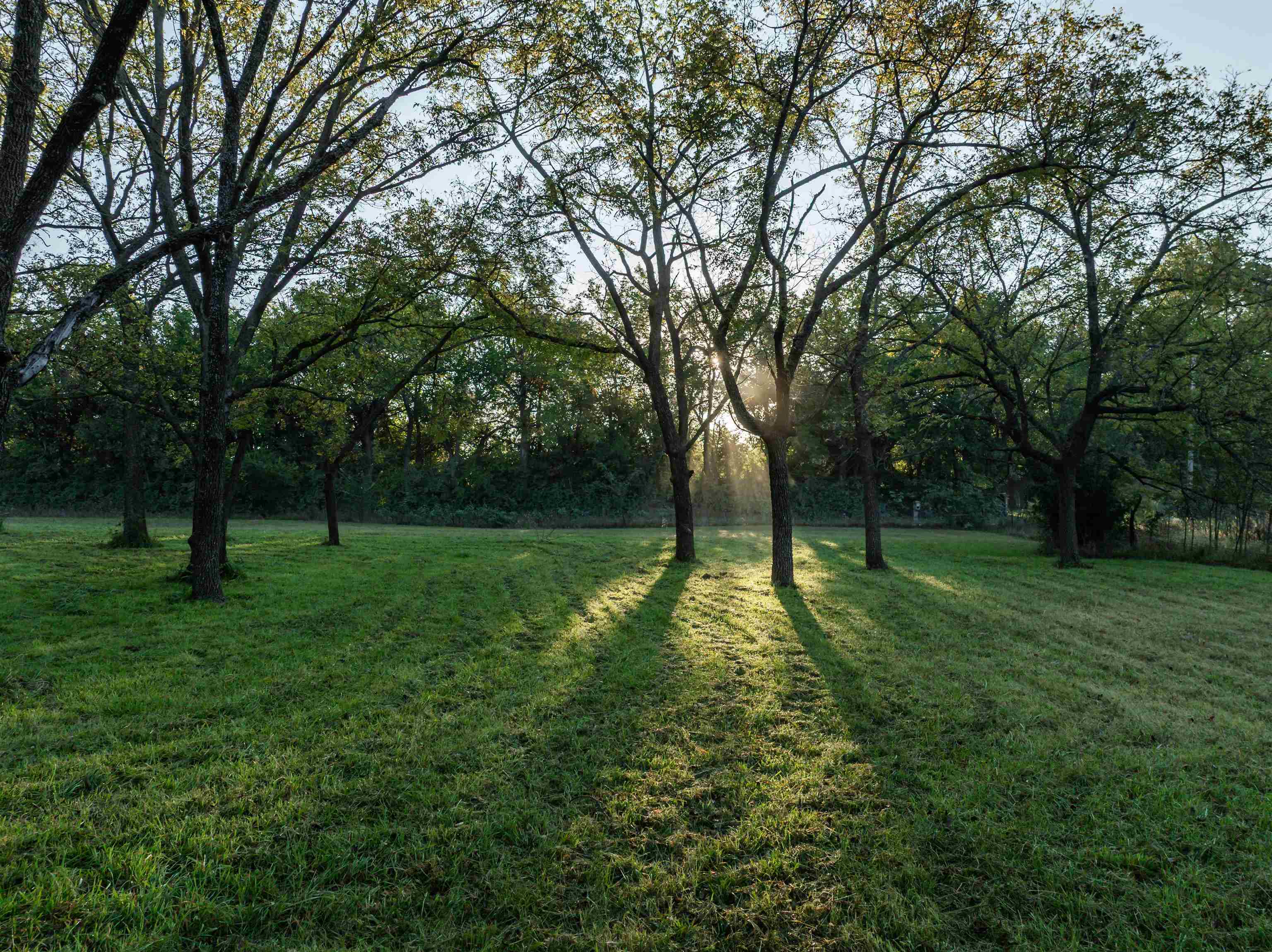 12357 SW Tawakoni Road Augusta KS 67010