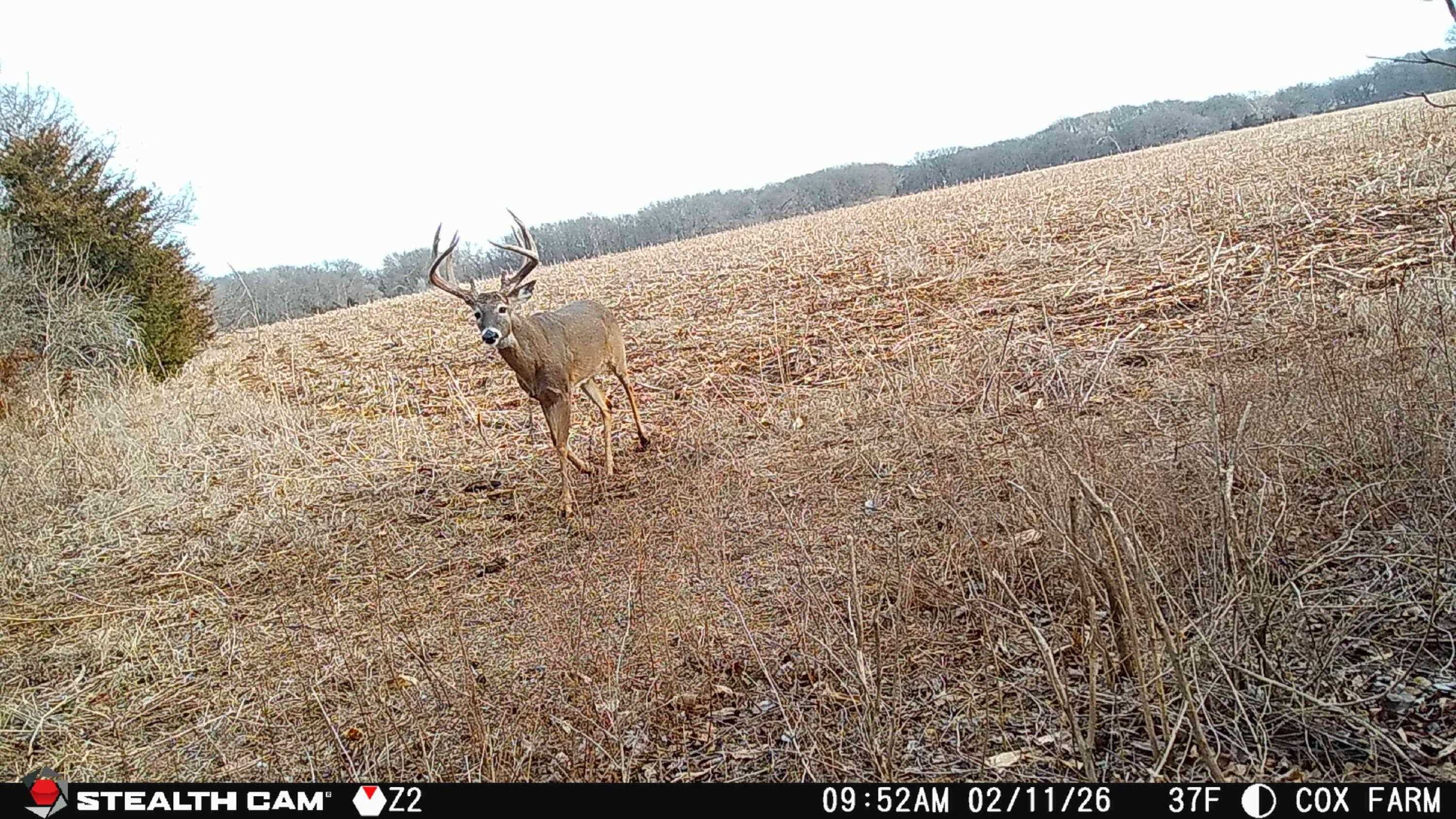 12357 SW Tawakoni Road Augusta KS 67010