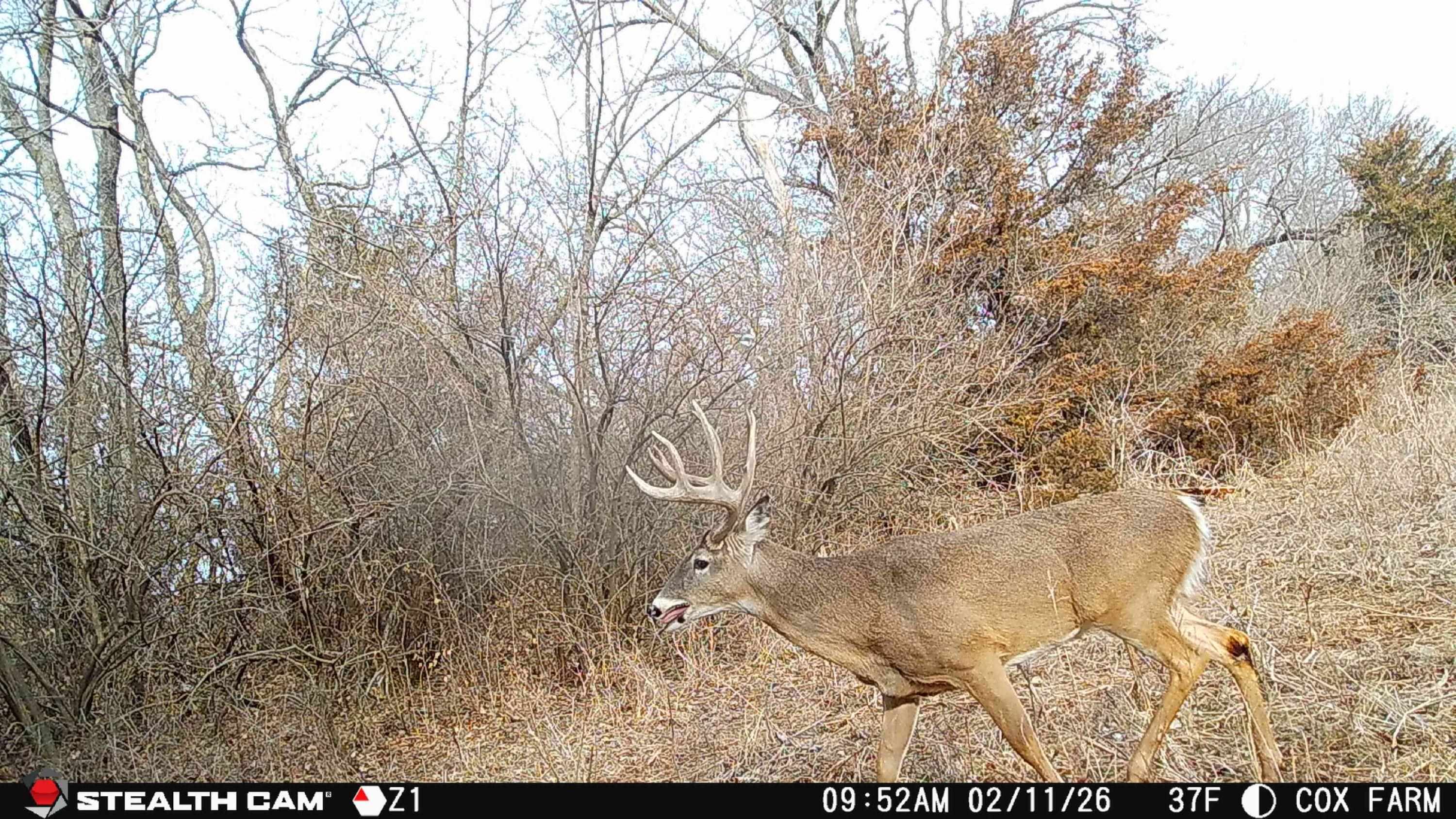 12357 SW Tawakoni Road Augusta KS 67010