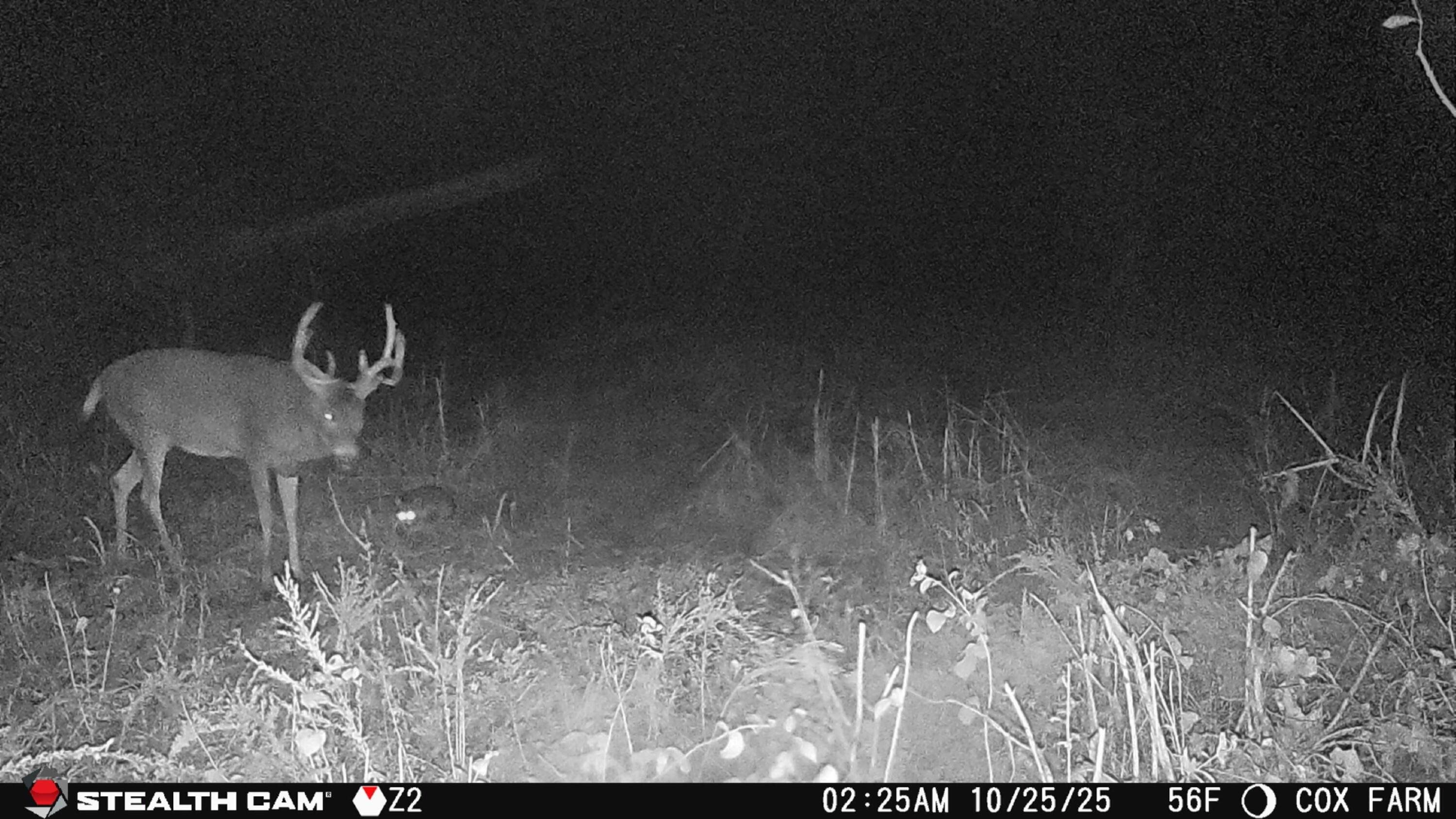 12357 SW Tawakoni Road Augusta KS 67010