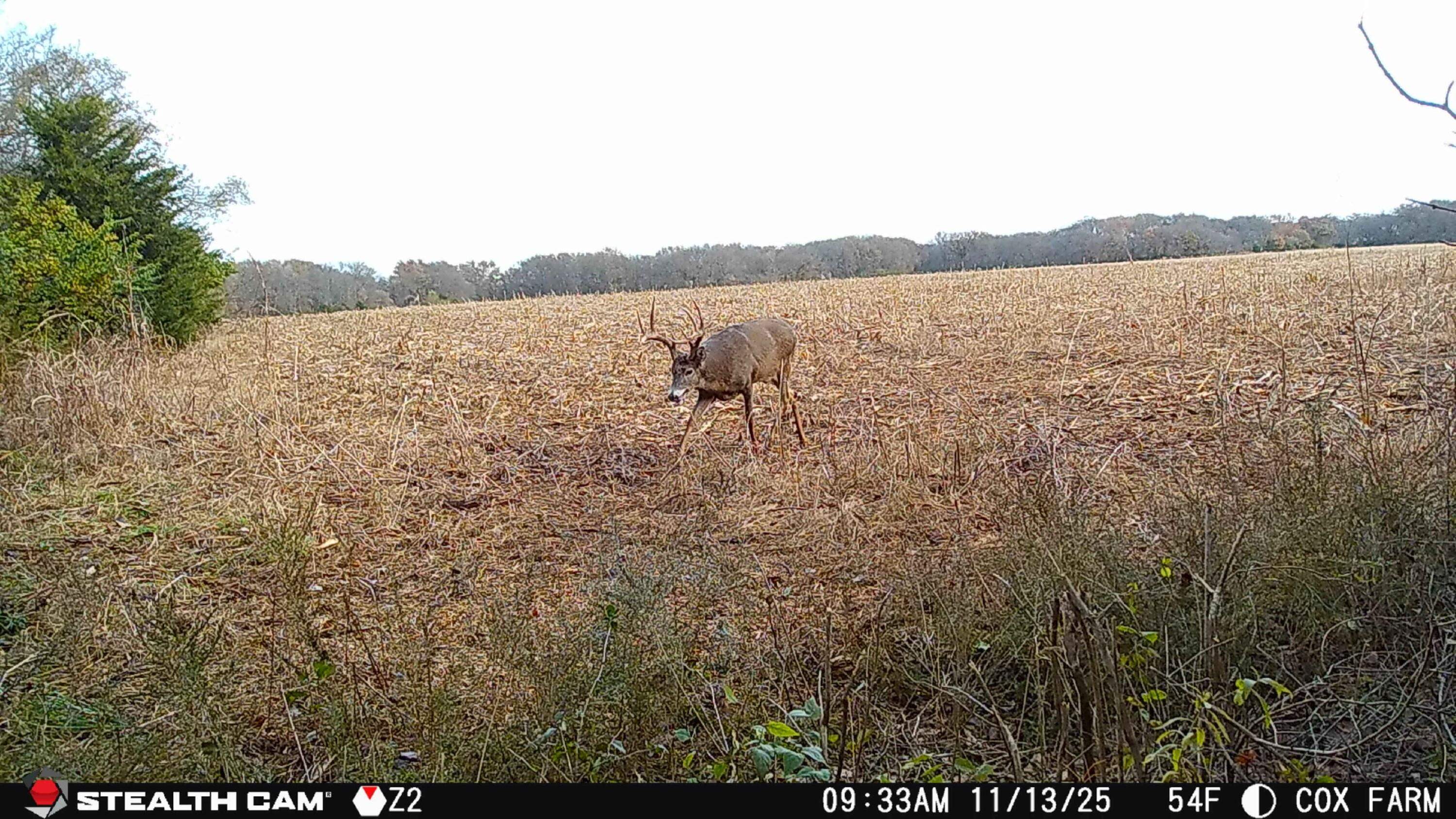 12357 SW Tawakoni Road Augusta KS 67010