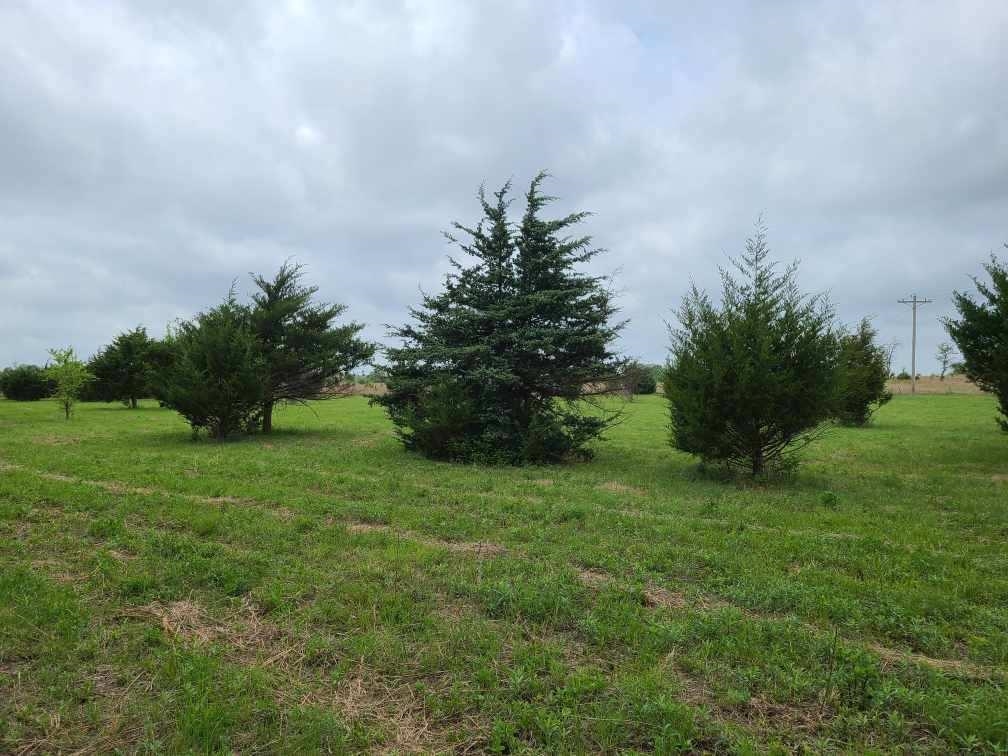 151ST Winfield KS 67156
