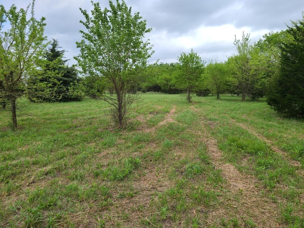 151ST Winfield KS 67156