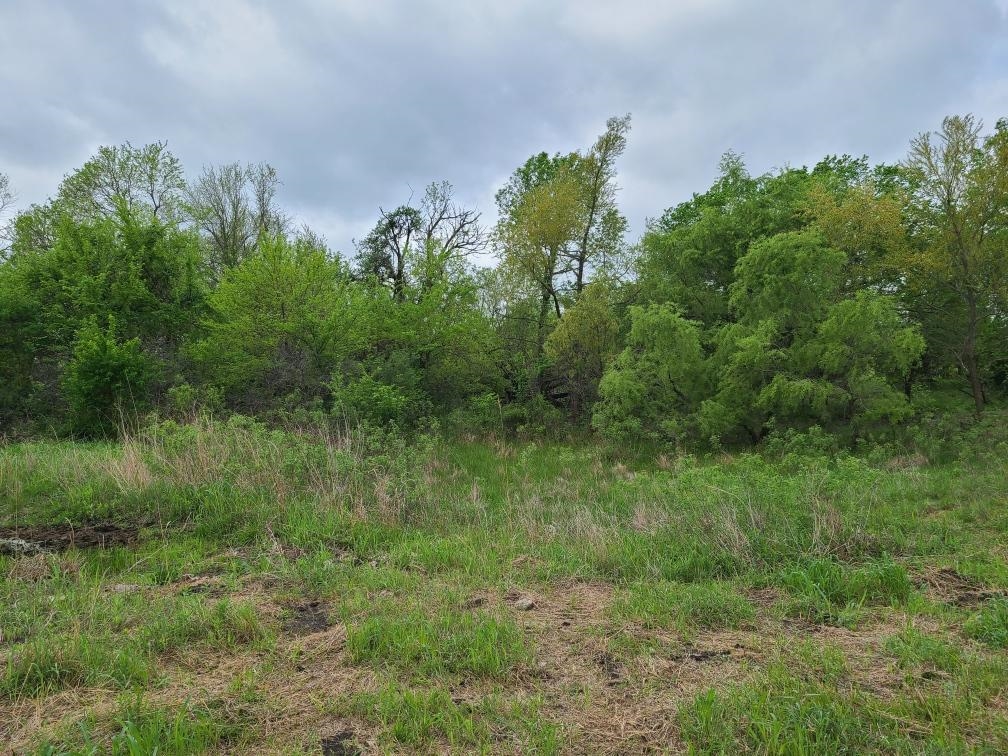 151ST Winfield KS 67156