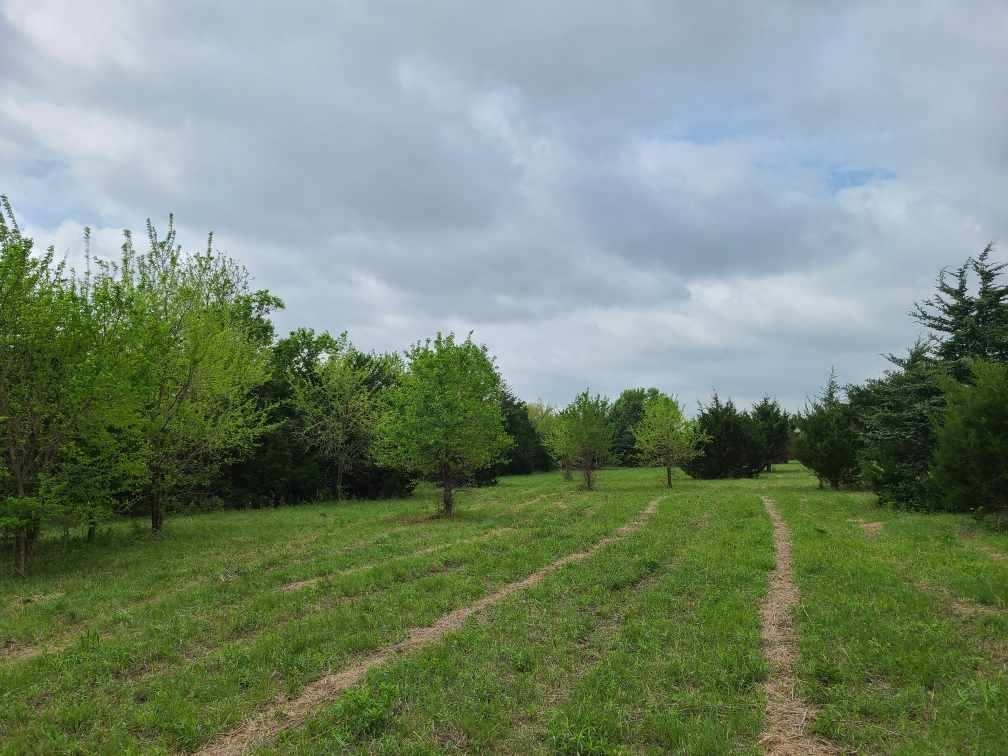151ST Winfield KS 67156