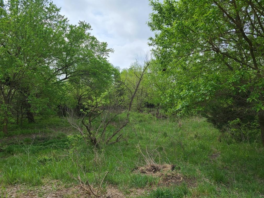 151ST Winfield KS 67156