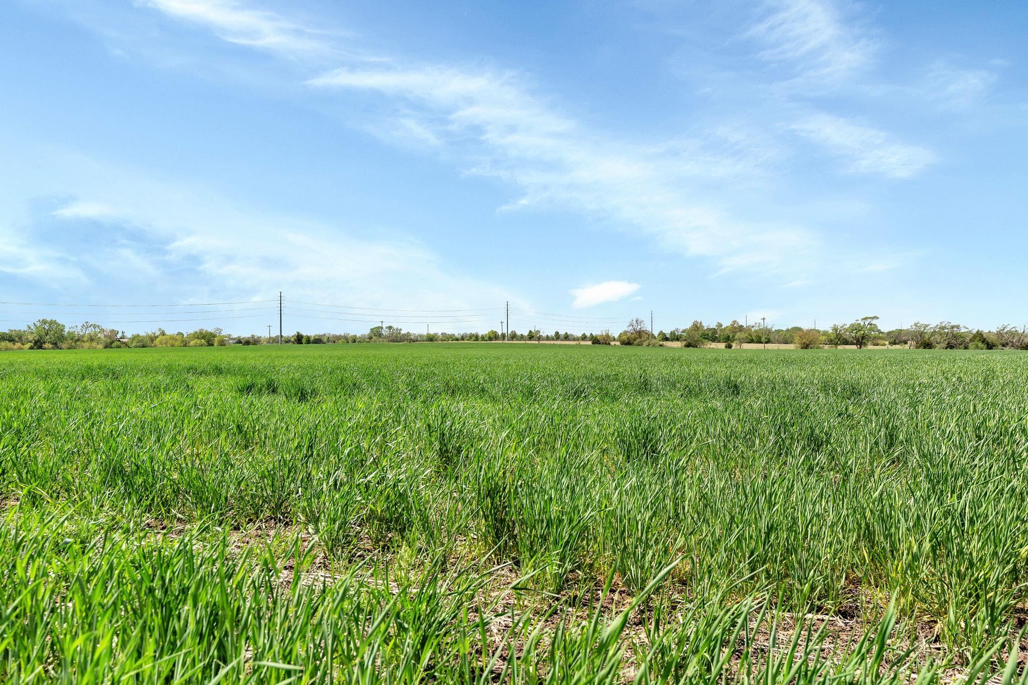 SE Of SW 160th Street & S 159th Street E - Tract 3 Rose Hill KS 67133