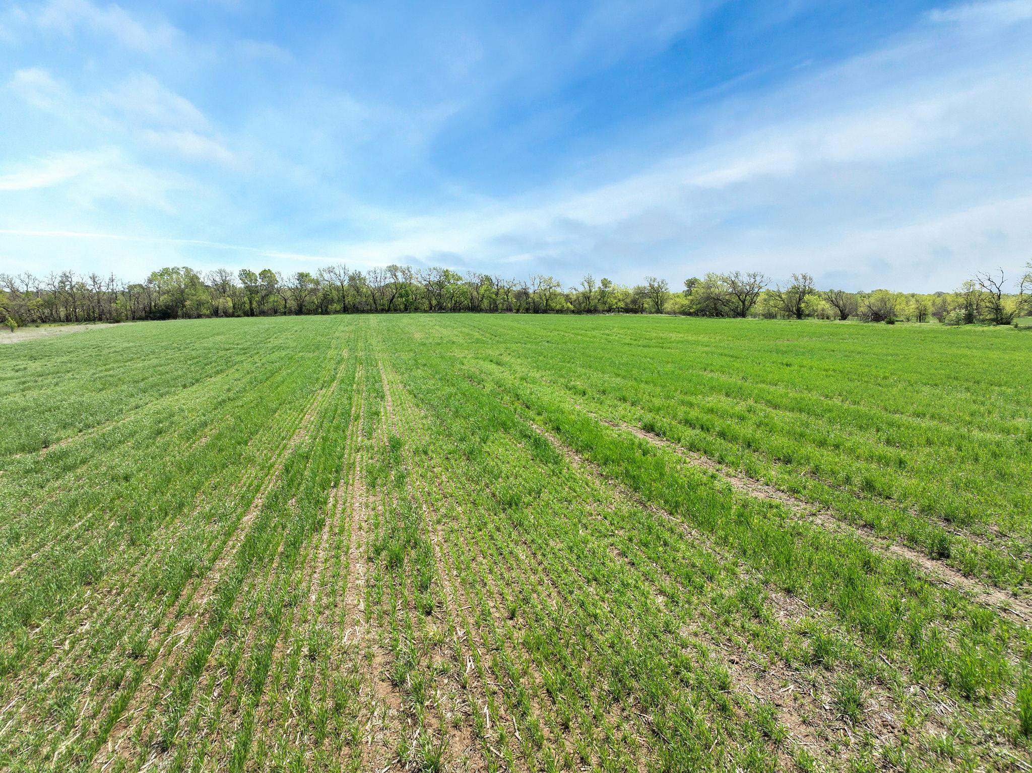 SE Of SW 160th Street & S 159th Street E - Tract 3 Rose Hill KS 67133