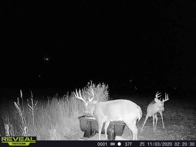 00000 NW 30th Harper KS 67058