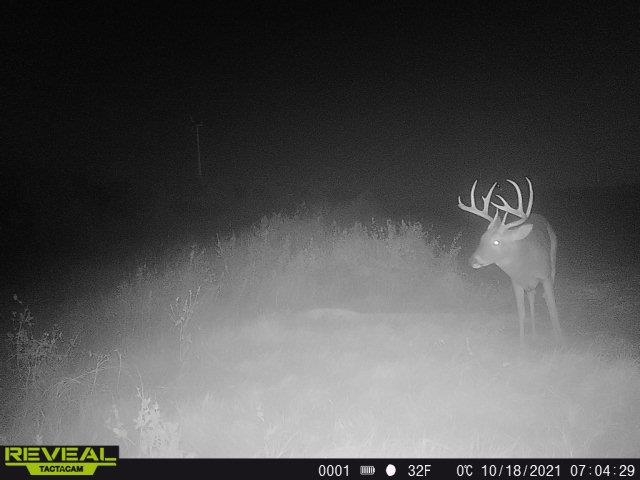 00000 NW 30th Harper KS 67058