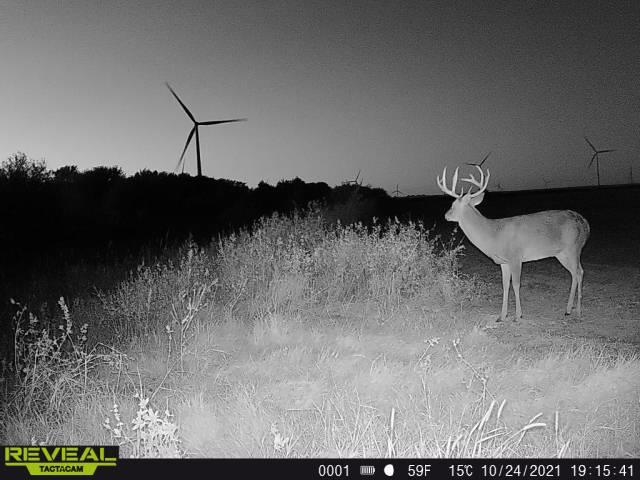 00000 NW 30th Harper KS 67058