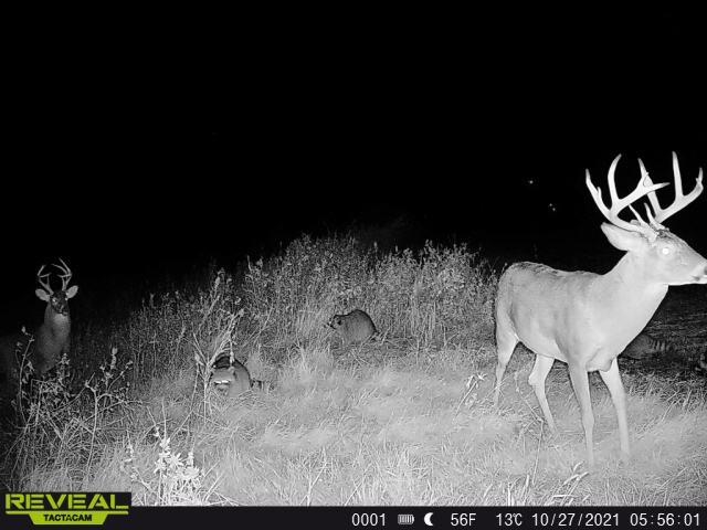 00000 NW 30th Harper KS 67058