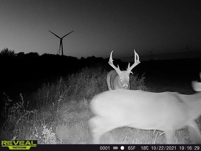 00000 NW 30th Harper KS 67058