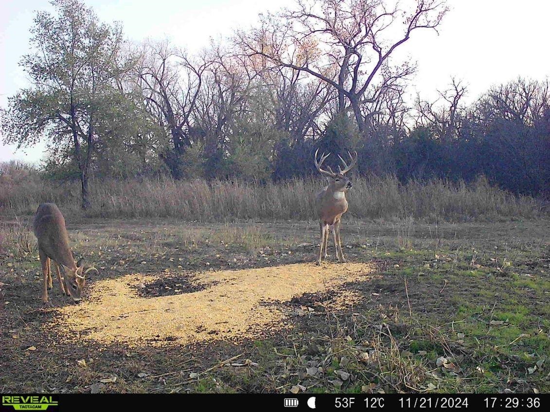 00000 N Pope Drive Mulvane KS 67110