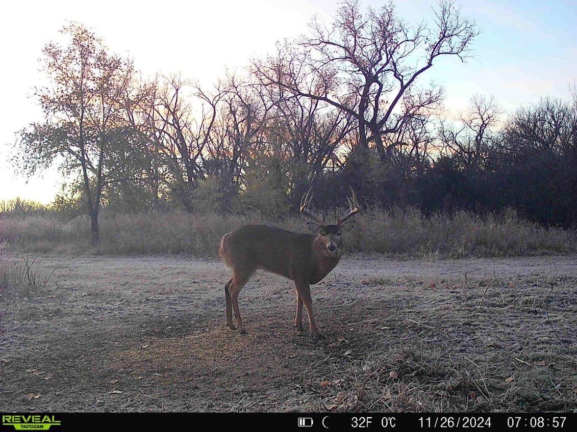 00000 N Pope Drive Mulvane KS 67110