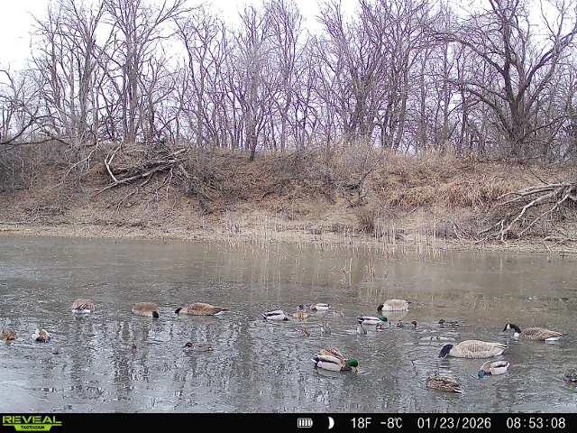 00000 N Pope Drive Mulvane KS 67110