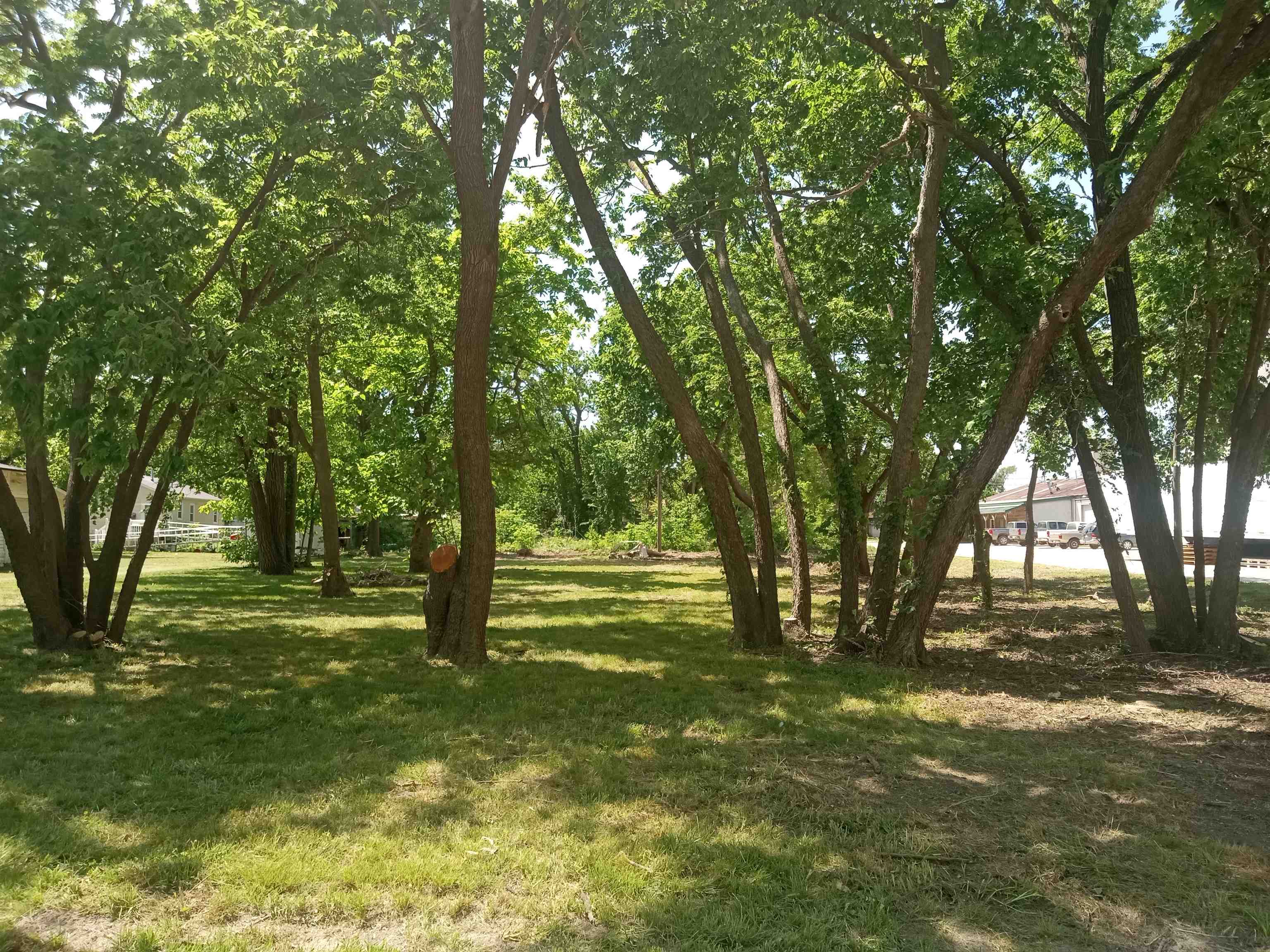 101 Walnut Halstead KS 67056
