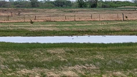 0 SE 140 Avenue Cheney KS 67025