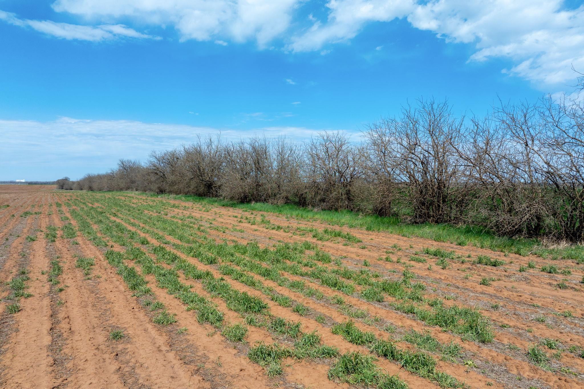 Tract 2 S 391st Cheney KS 67025