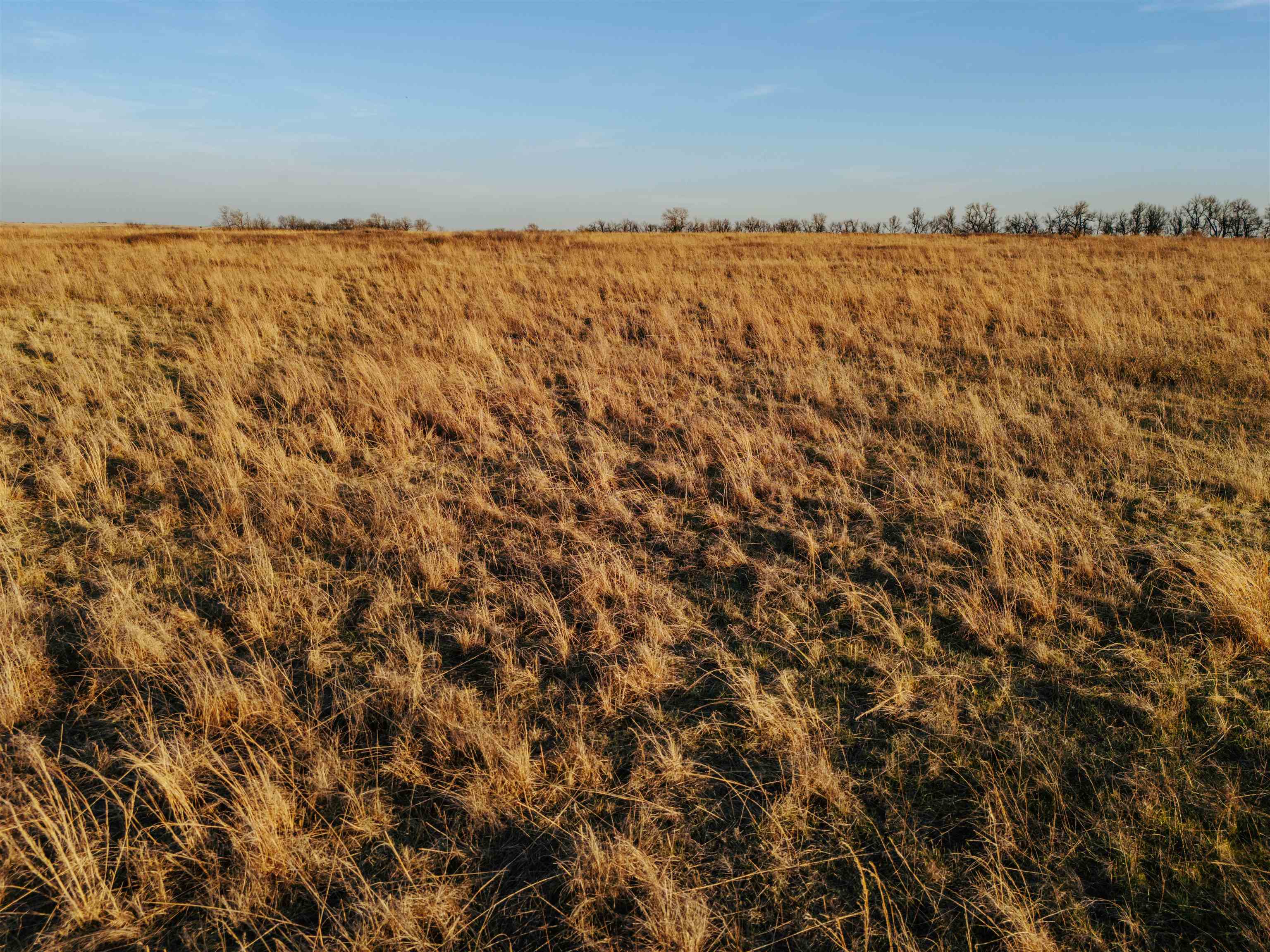 00000 E 141st Road Winfield KS 67156