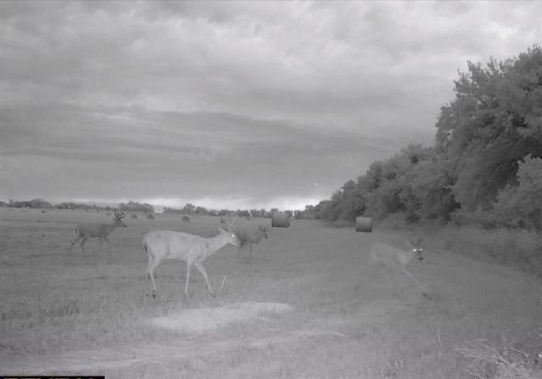 00000 S Lachland Clearwater KS 67026