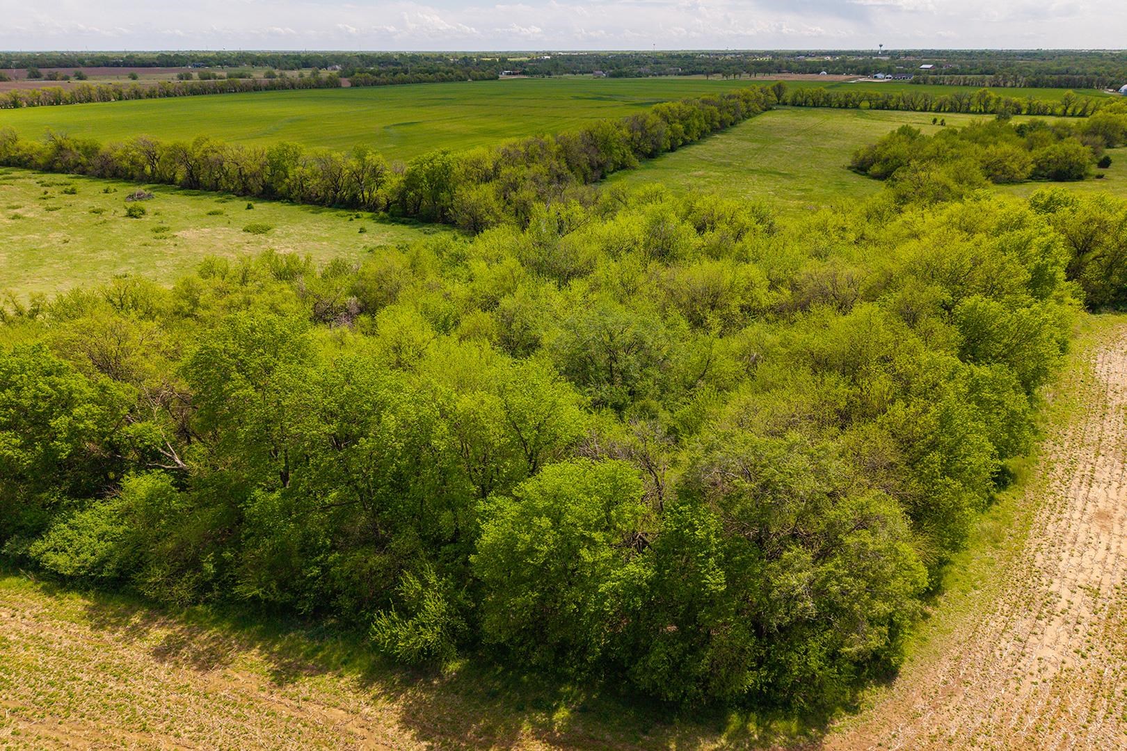 41+/- Acres At E 47th Street S & S 127th Street E Derby KS 67037
