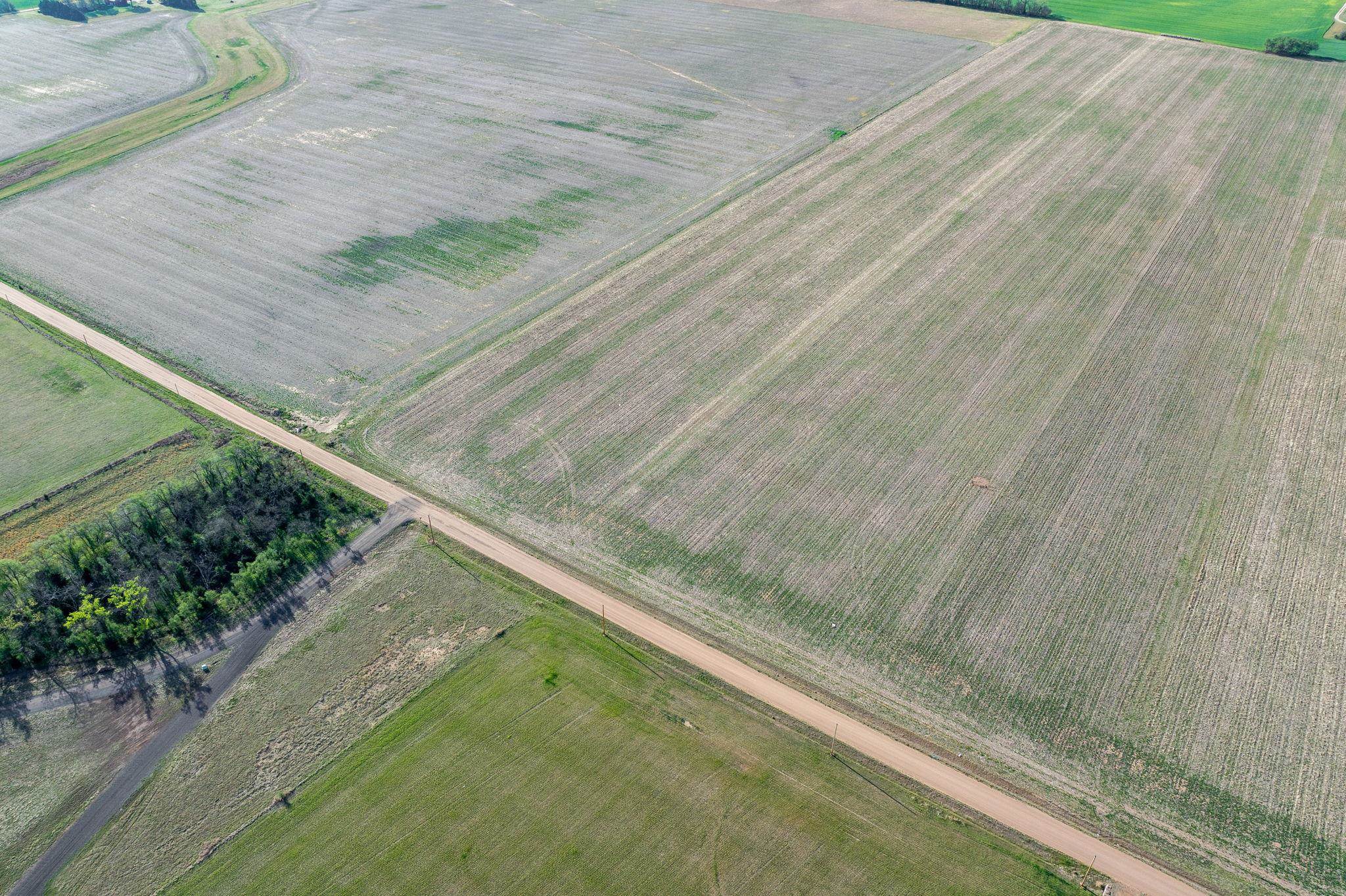 00000 E Bluff Cheney KS 67025