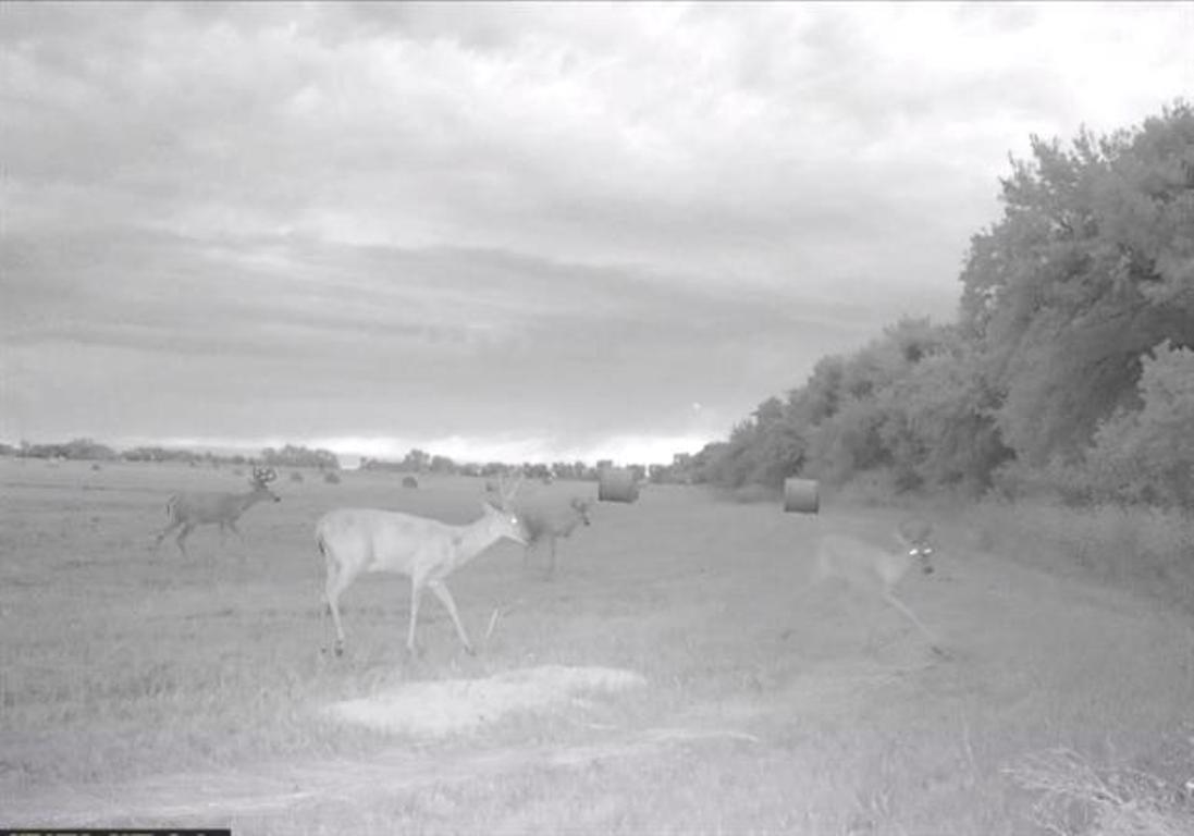 00000 S Lachland Clearwater KS 67026