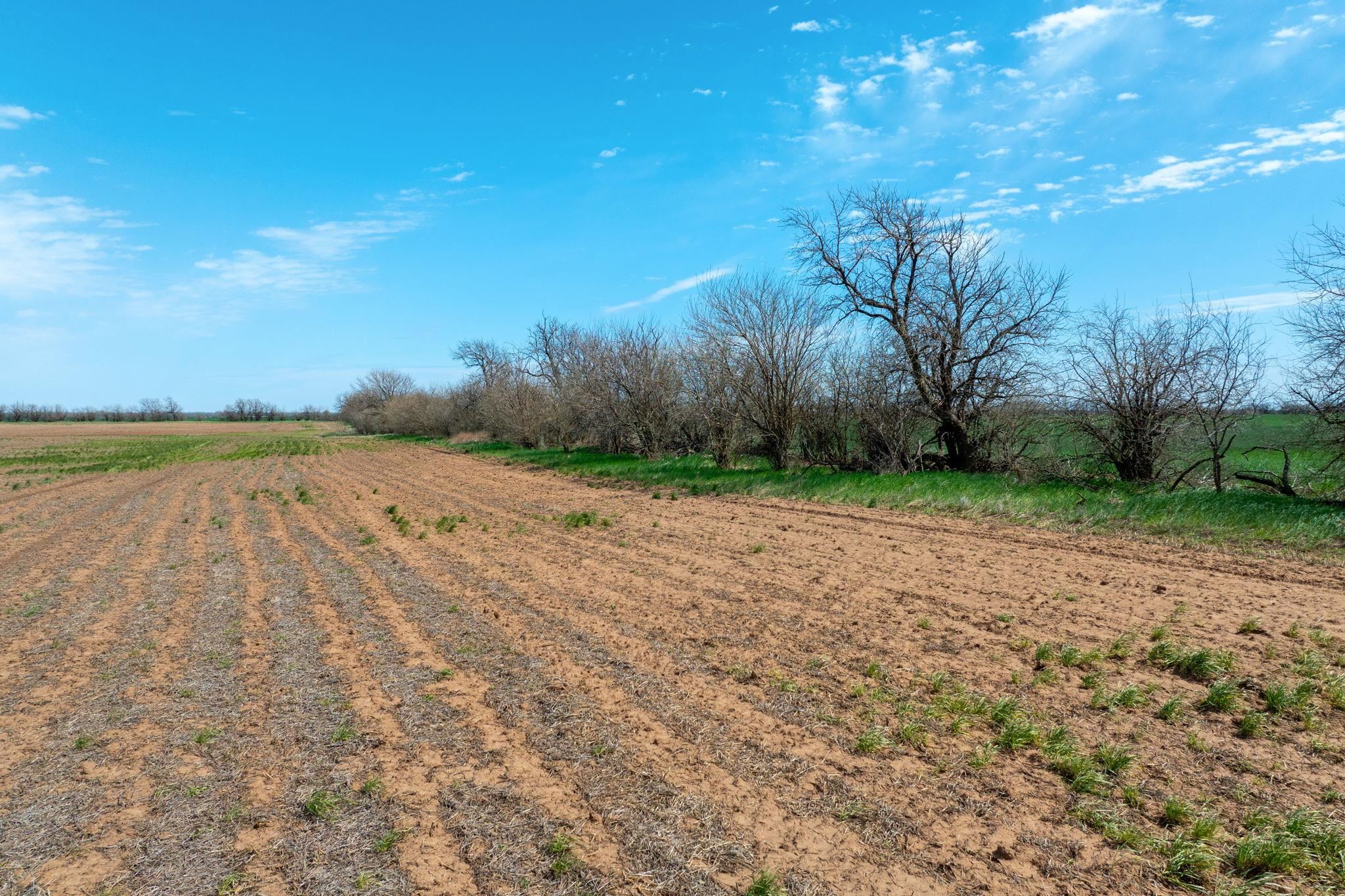 Tract 1 S 391st Cheney KS 67025