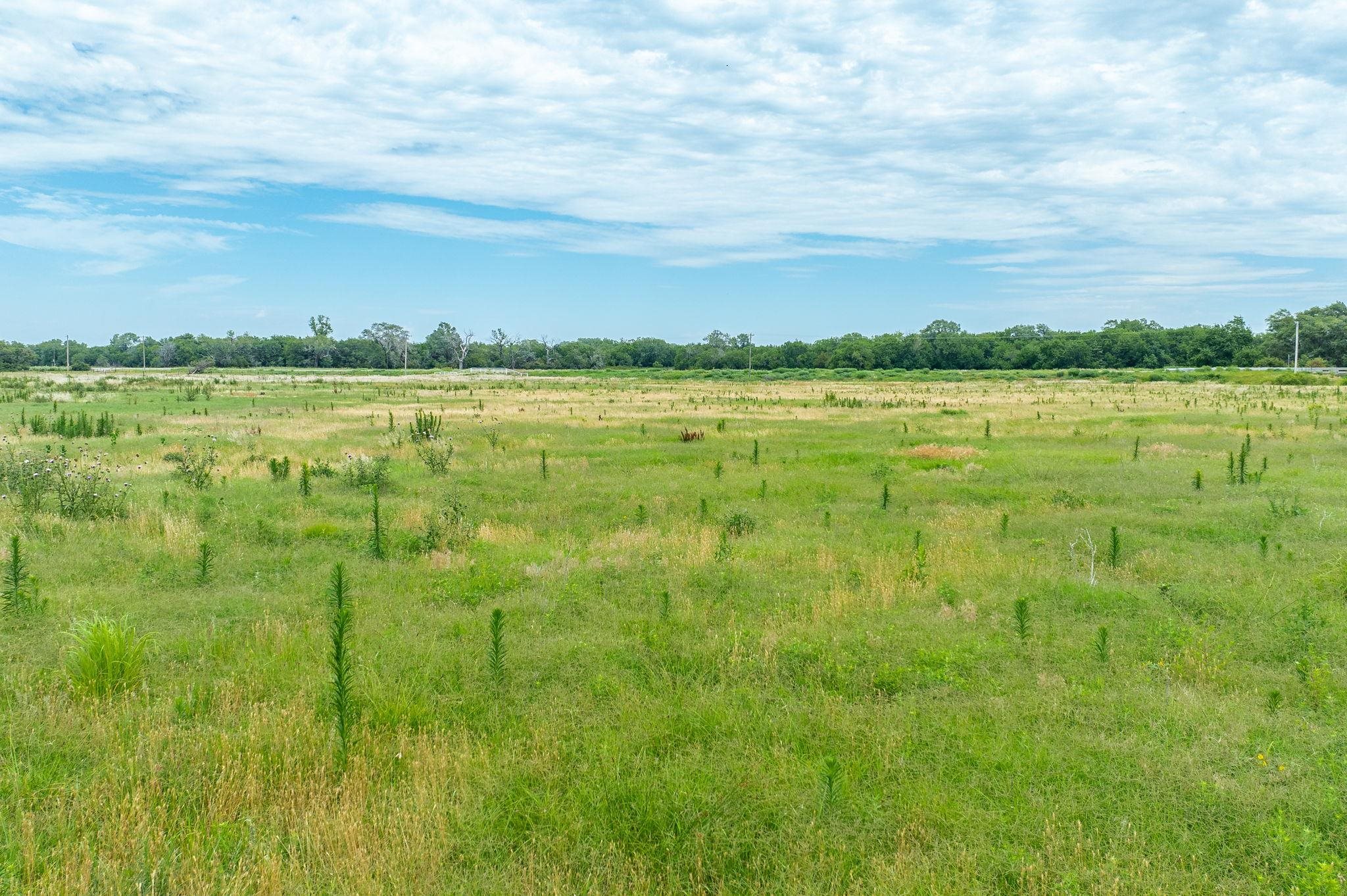 65.88 +/- Acres N 279th Street W Mount Hope KS 67108