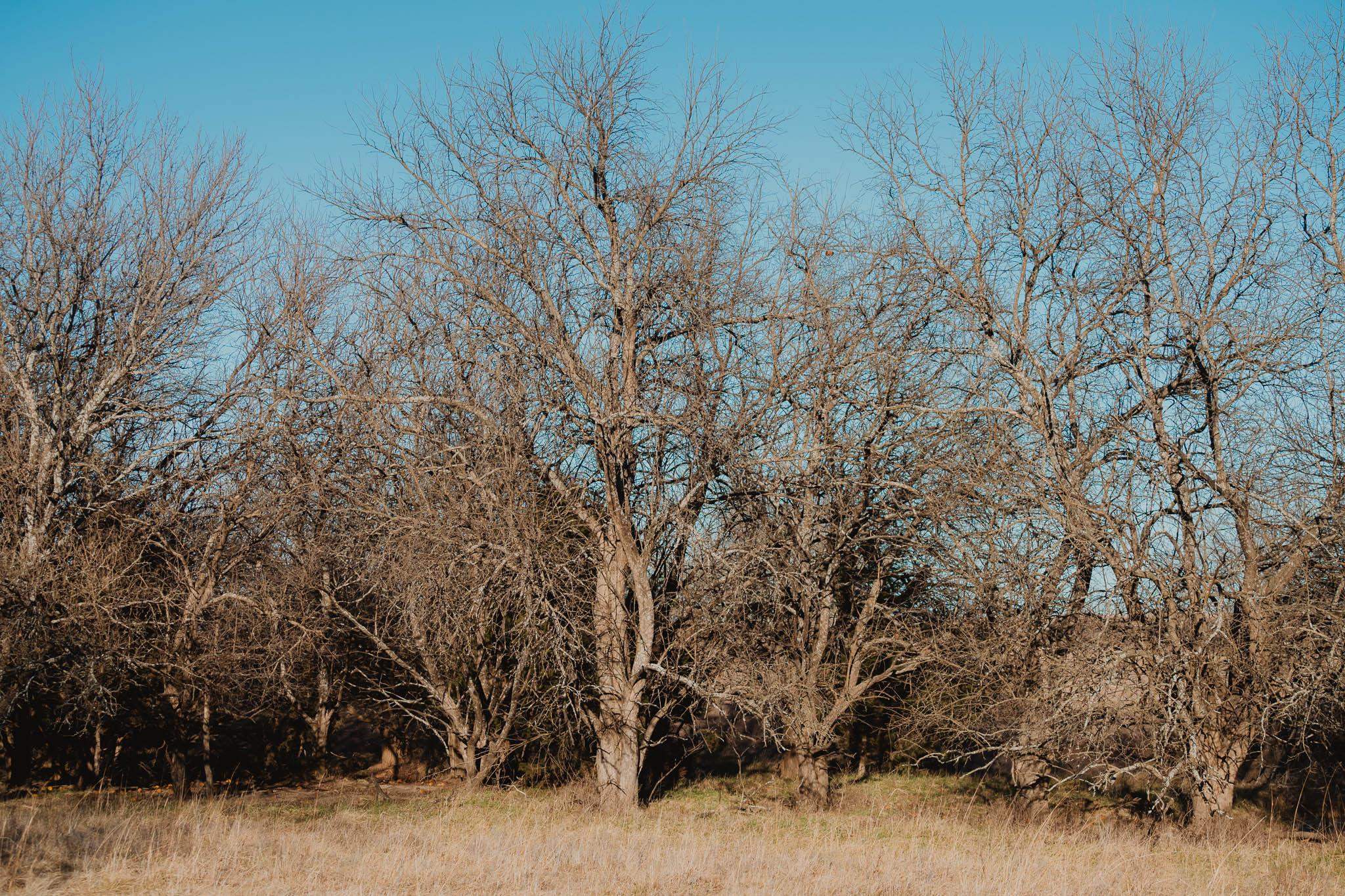 0 SE 40th El Dorado KS 67042