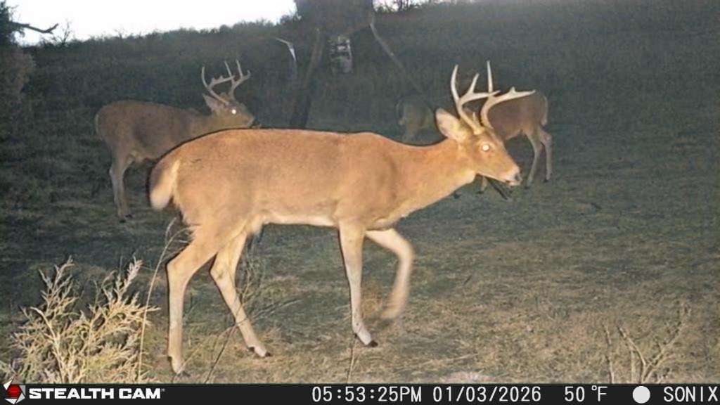 0 SE 40th El Dorado KS 67042
