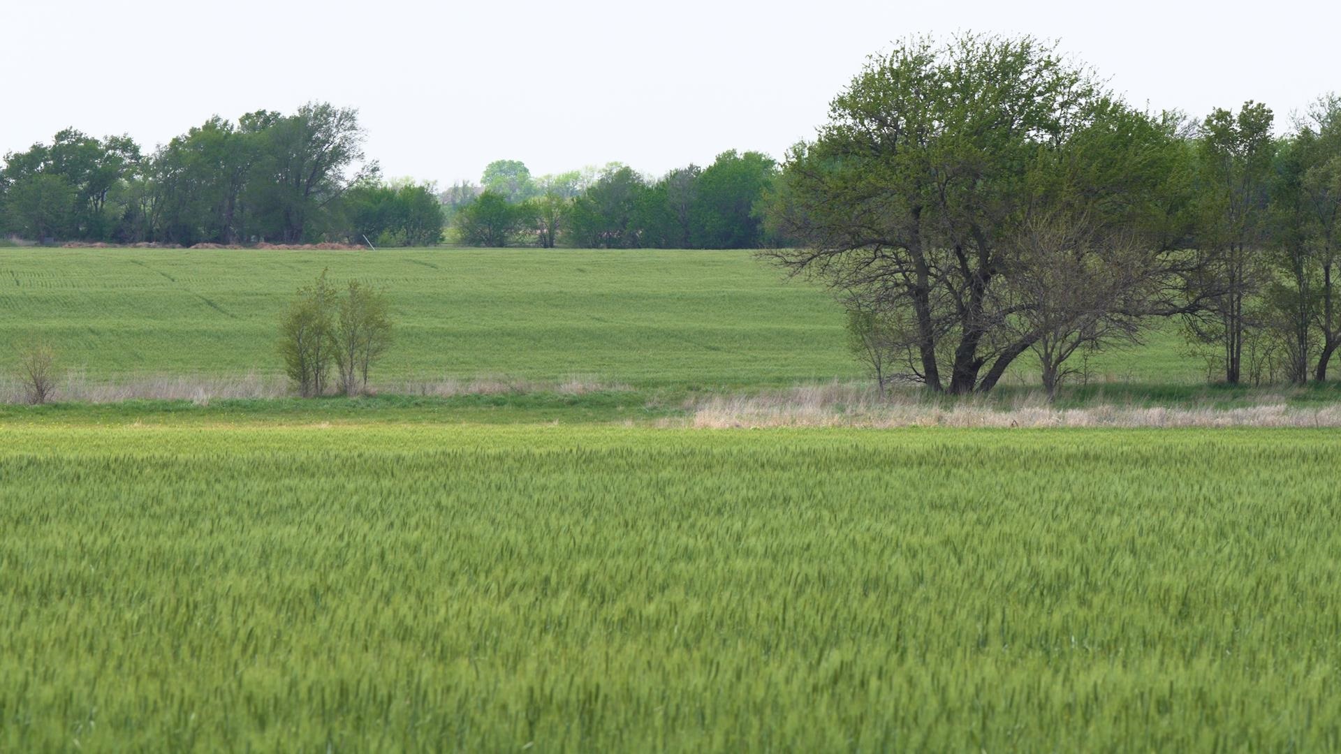 Lot Lot 13 Block 3 Dry Creek Estates Goddard KS 67052