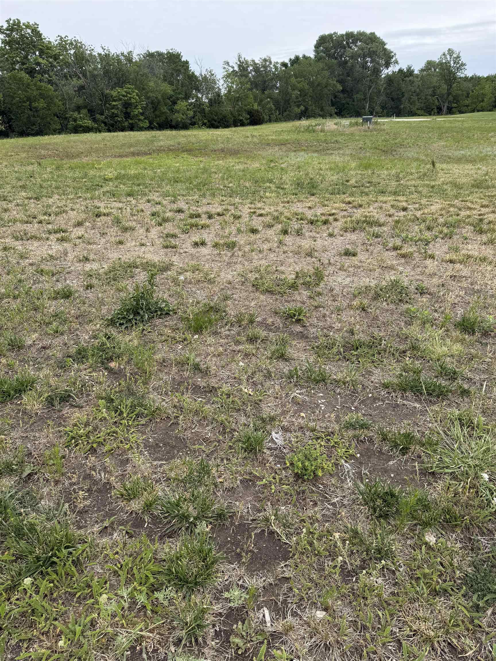 1102 Main Halstead KS 67056