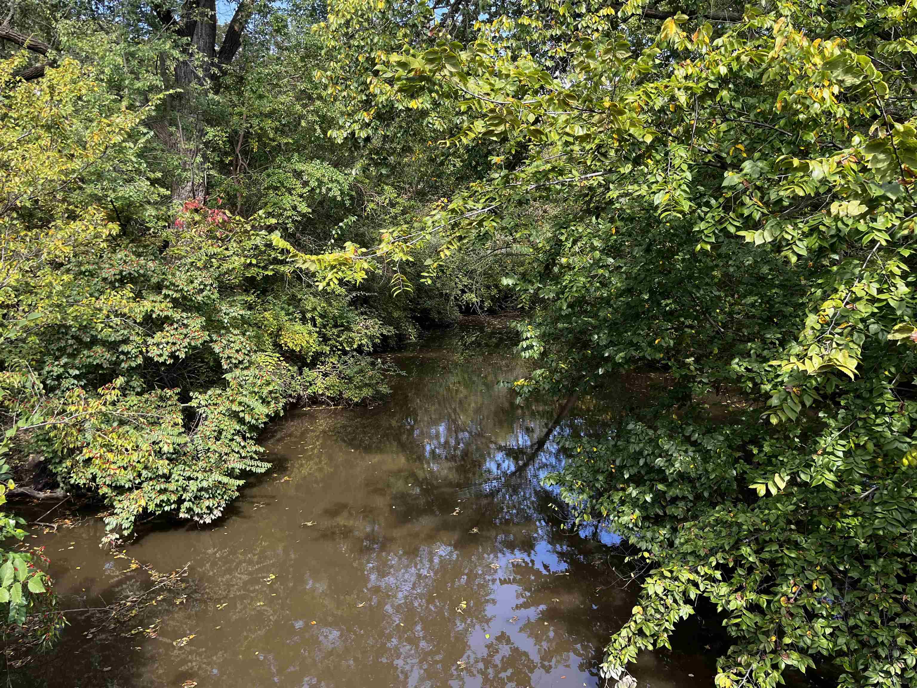 1208 Lazy Creek Court Newton KS 67114