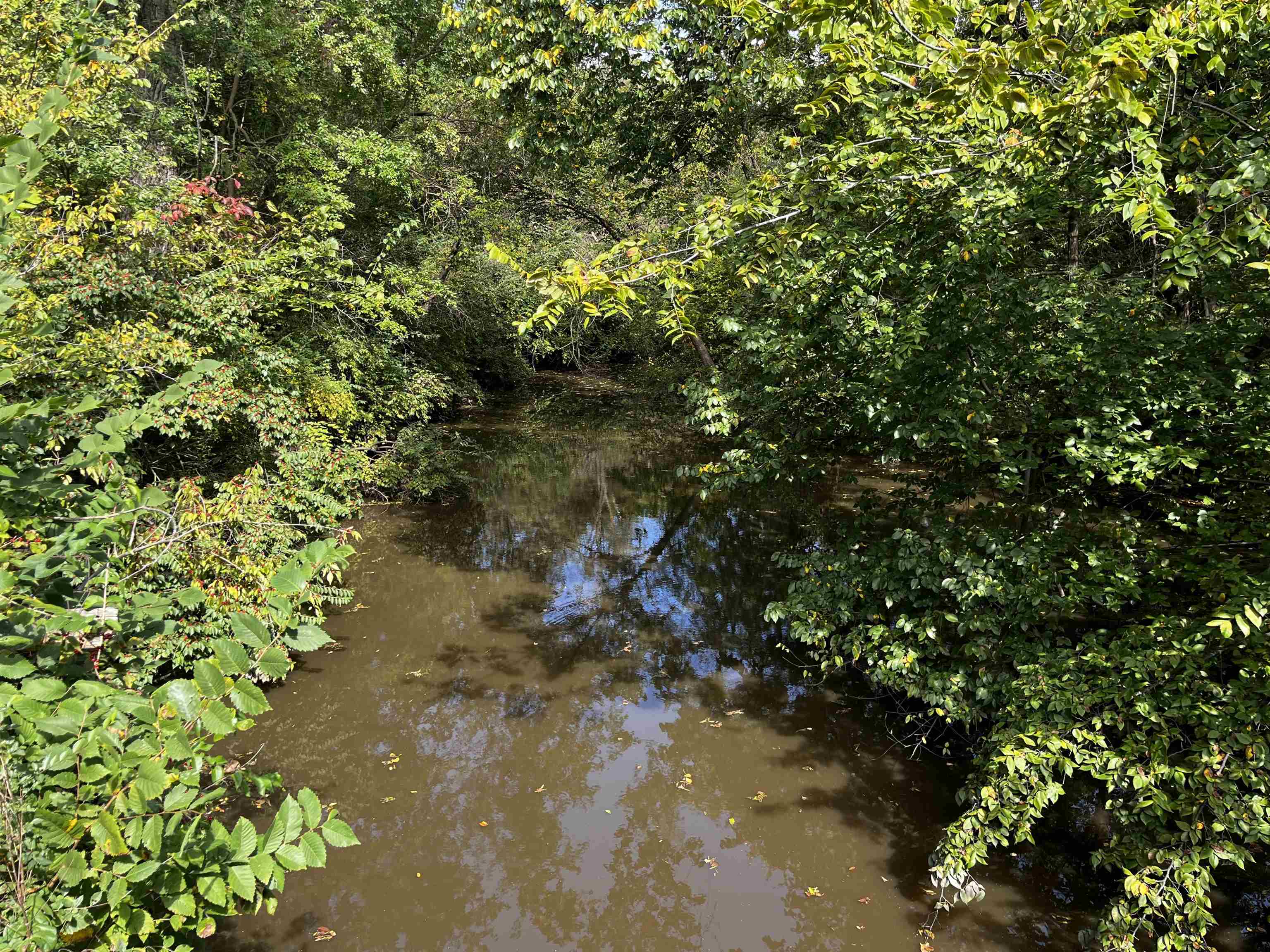 1208 Lazy Creek Court Newton KS 67114