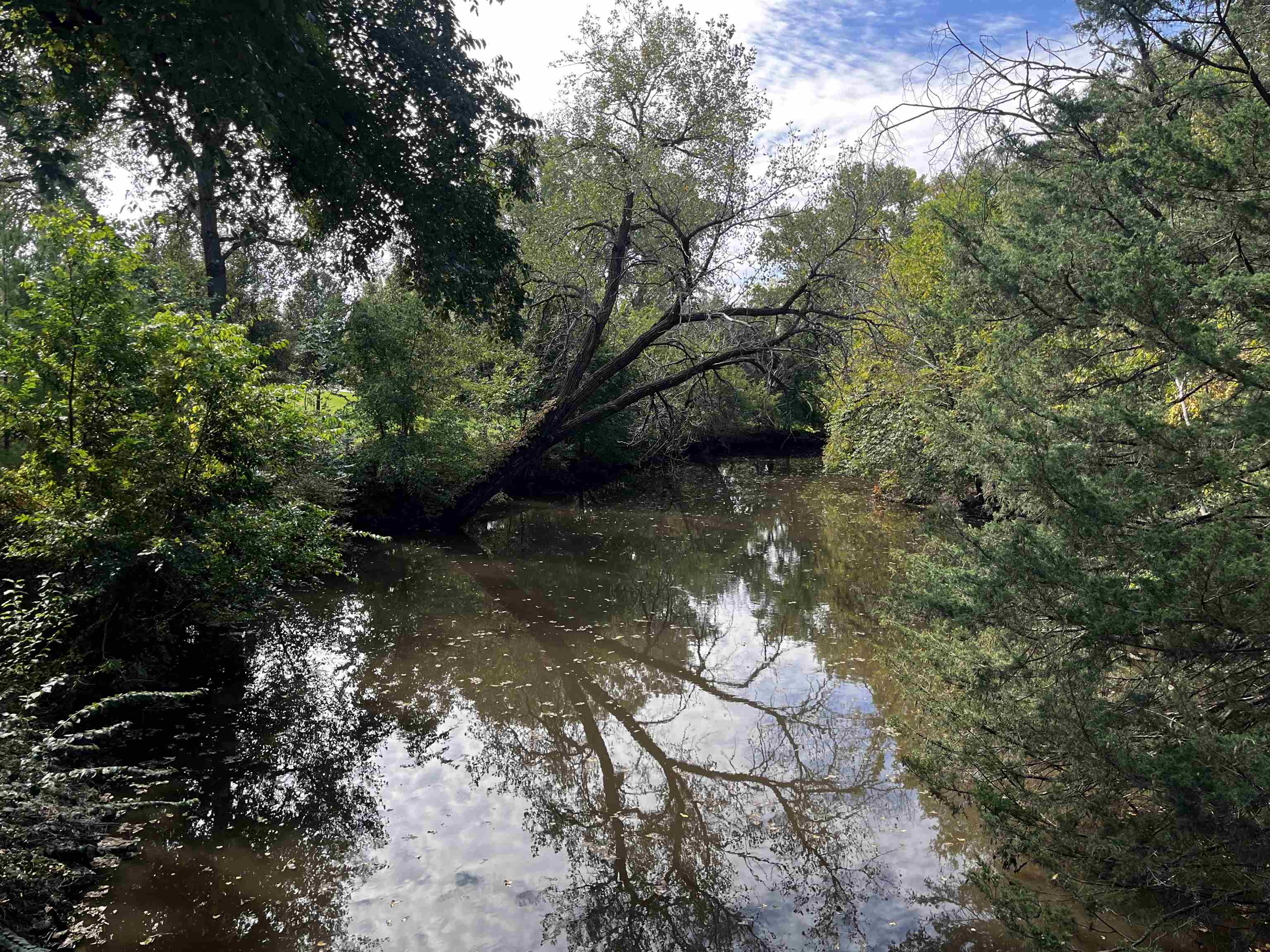 1208 Lazy Creek Court Newton KS 67114