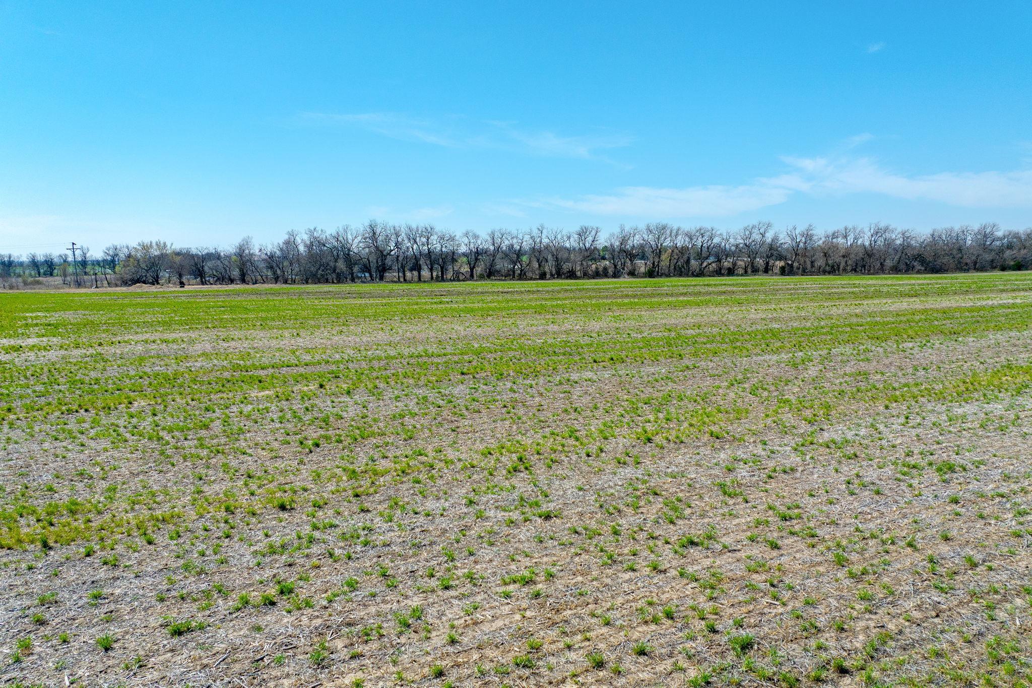 Lot 3 E Willow Oak Estates Wichita KS 67226