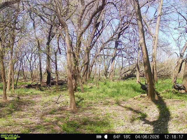 00000 E 70th Belle Plaine KS 67013
