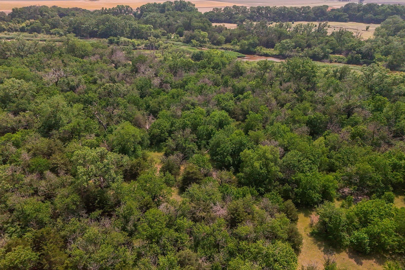 42.21 Acres E Long View Burrton KS 67020