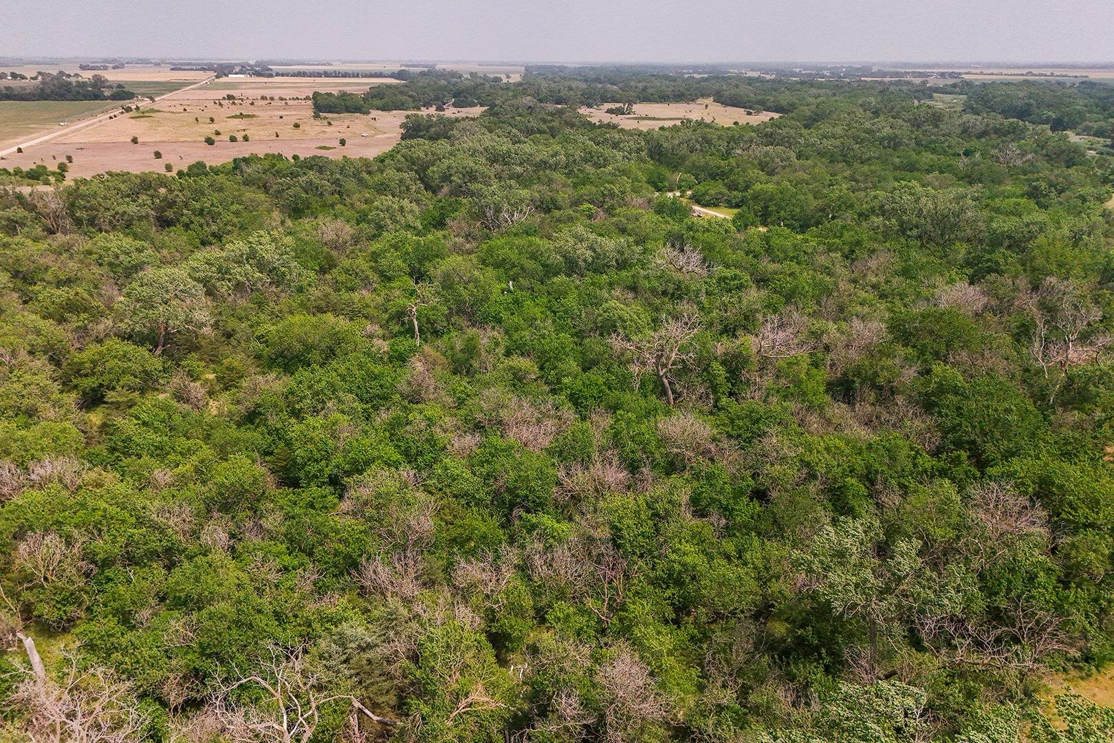 42.21 Acres E Long View Burrton KS 67020