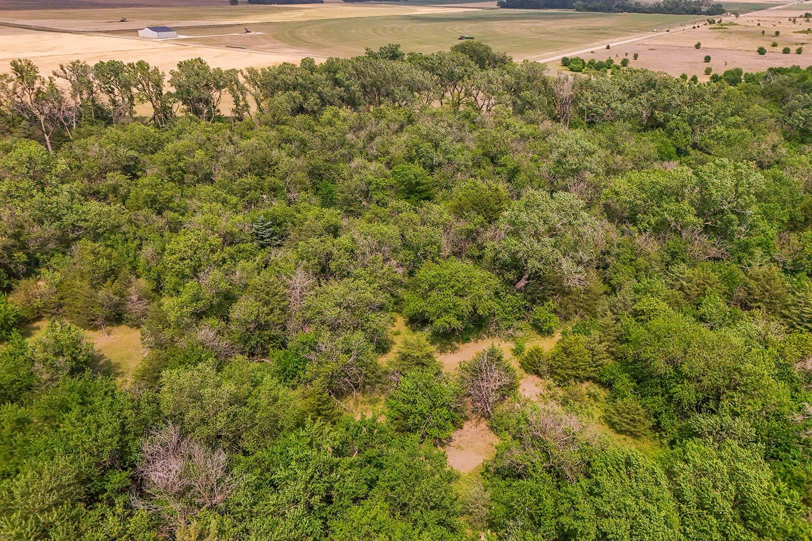 42.21 Acres E Long View Burrton KS 67020