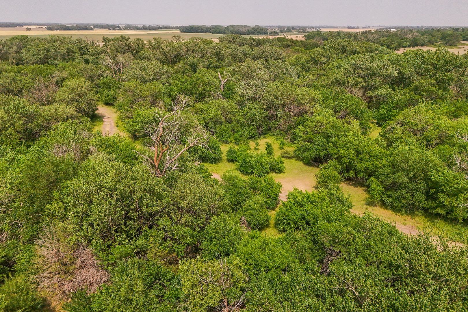 42.21 Acres E Long View Burrton KS 67020