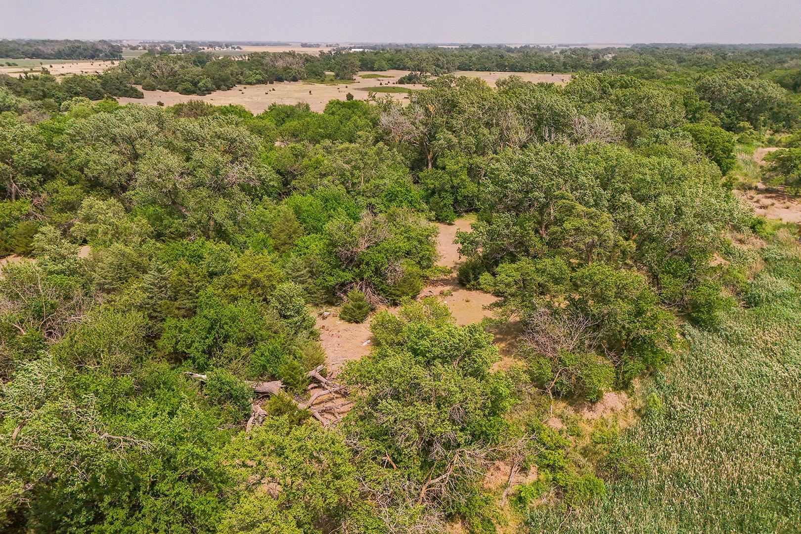 42.21 Acres E Long View Burrton KS 67020
