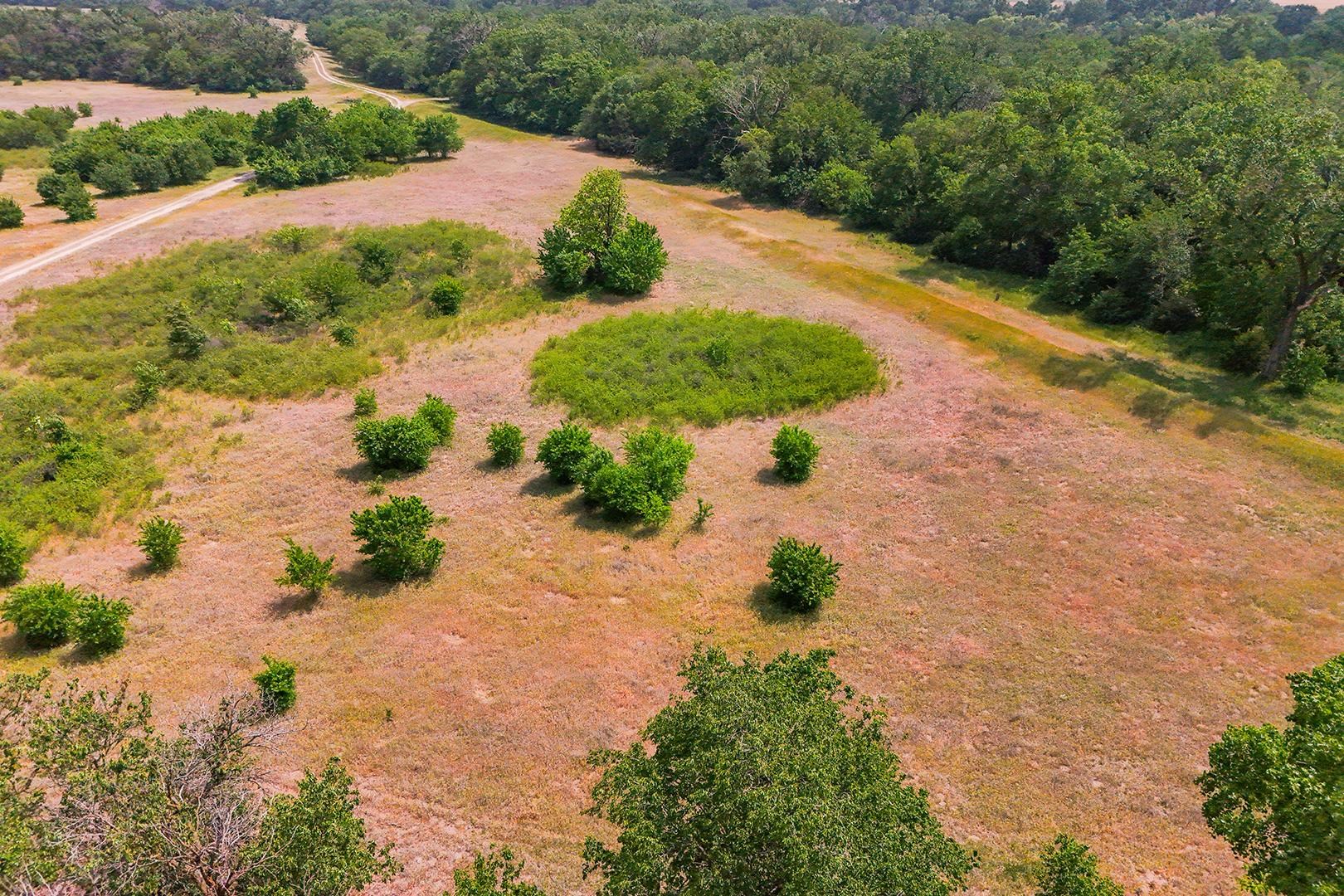 42.21 Acres E Long View Burrton KS 67020