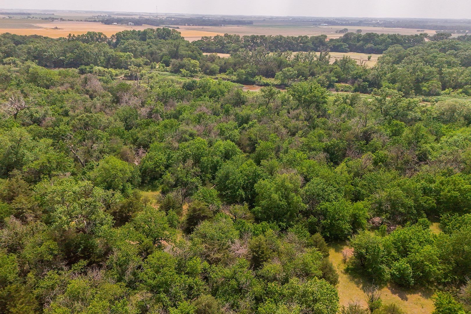 42.21 Acres E Long View Burrton KS 67020