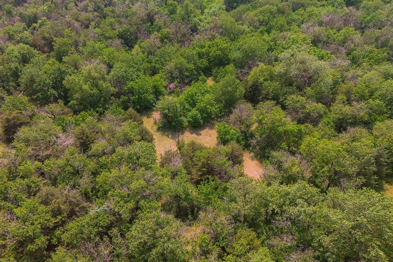 42.21 Acres E Long View Burrton KS 67020