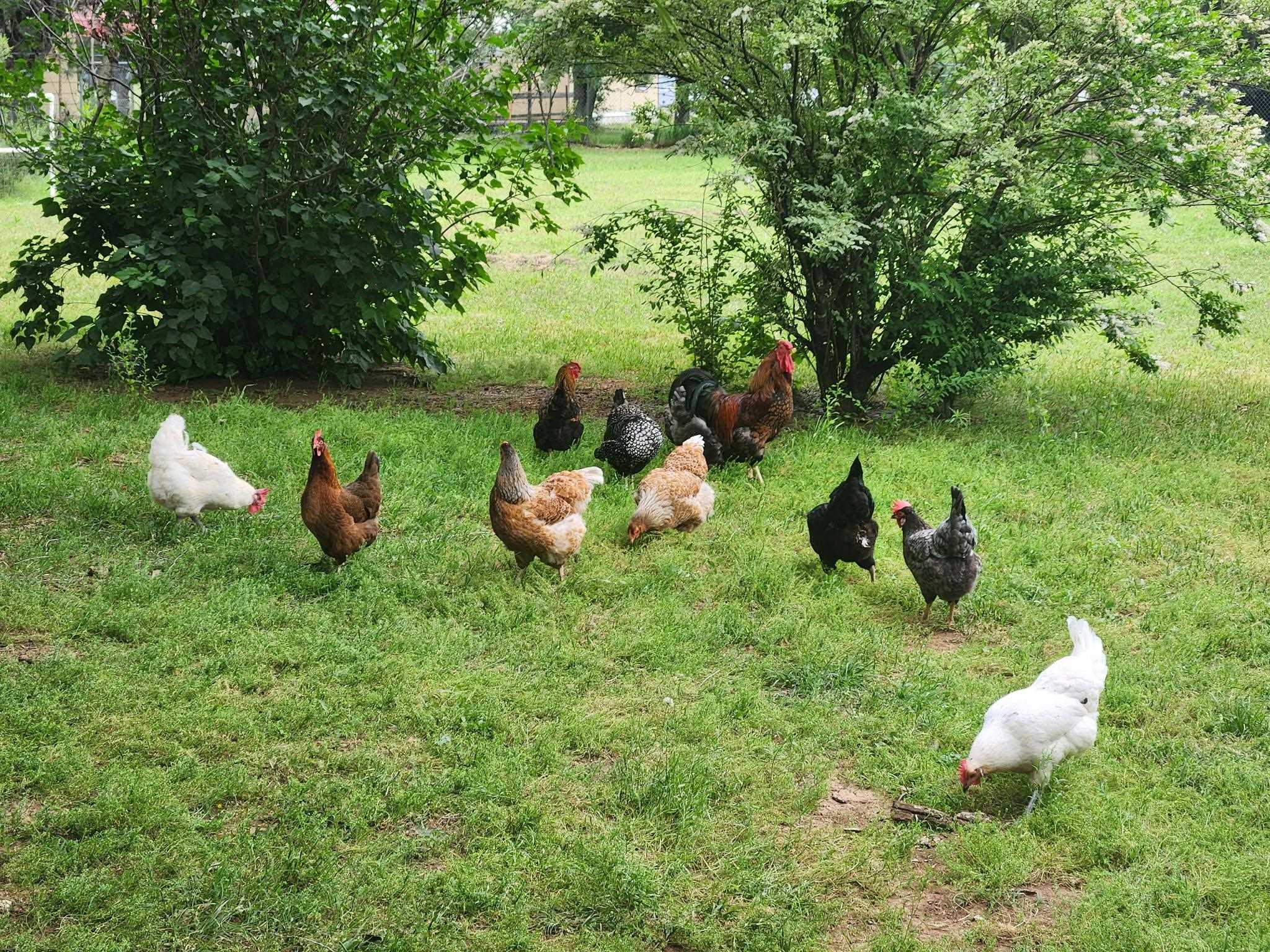 33017 77th Arkansas City KS 67005