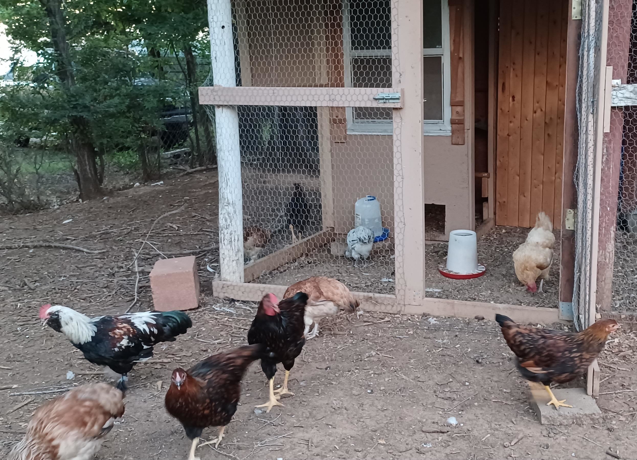 33017 77th Arkansas City KS 67005