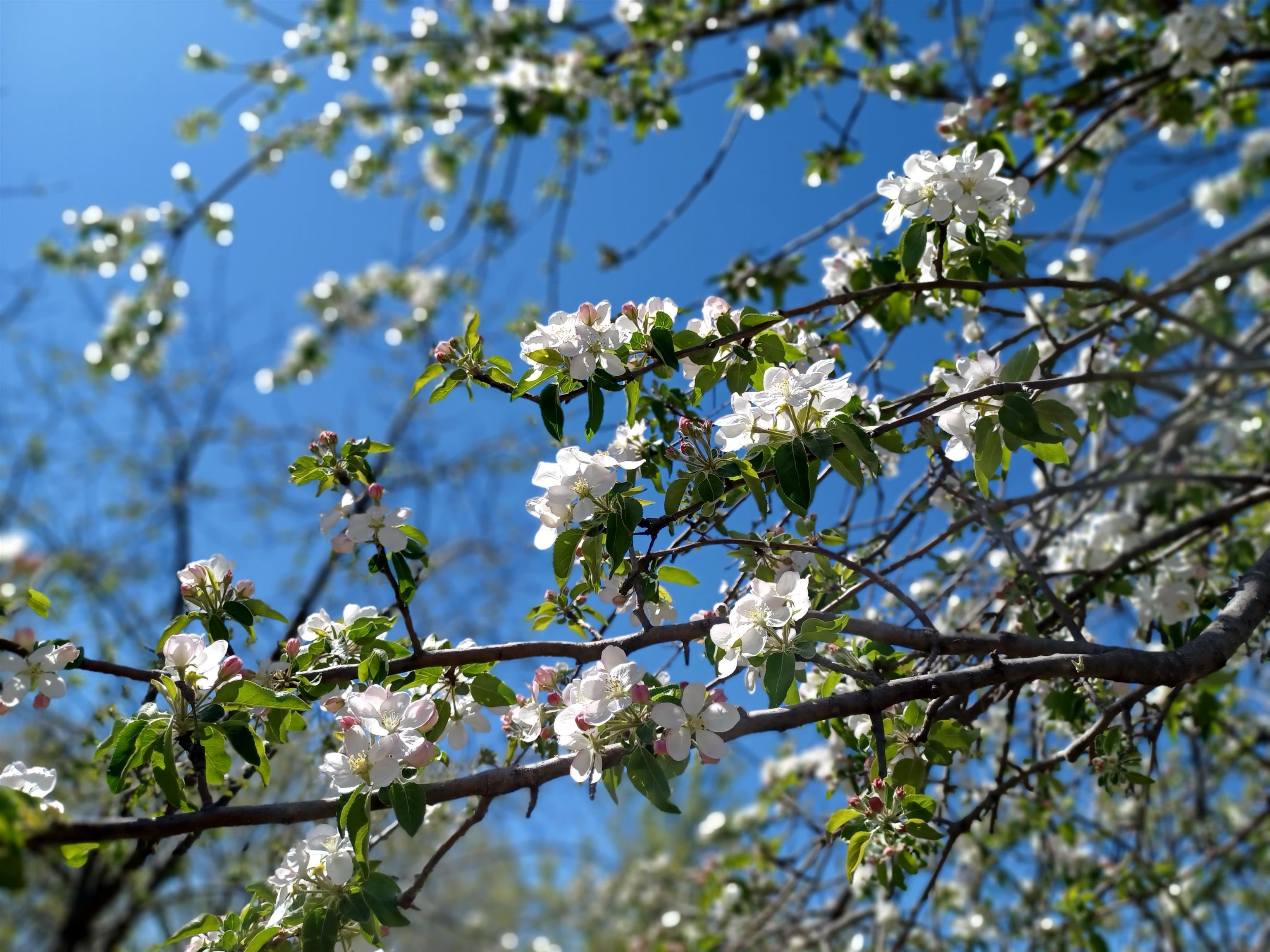 33017 77th Arkansas City KS 67005